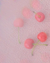 TOCCA meets KANAKO MOMOTA Image