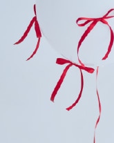 TOCCA meets KANAKO MOMOTA Image