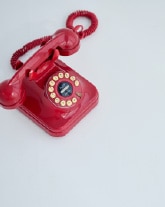 TOCCA meets KANAKO MOMOTA Image