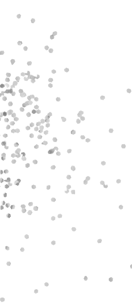 TOCCA MY NEW BAG with八木アリサ