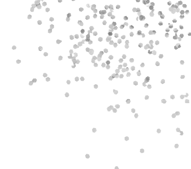 TOCCA MY NEW BAG with八木アリサ