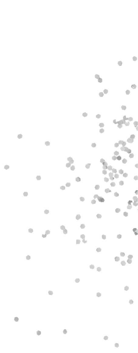 TOCCA MY NEW BAG with八木アリサ