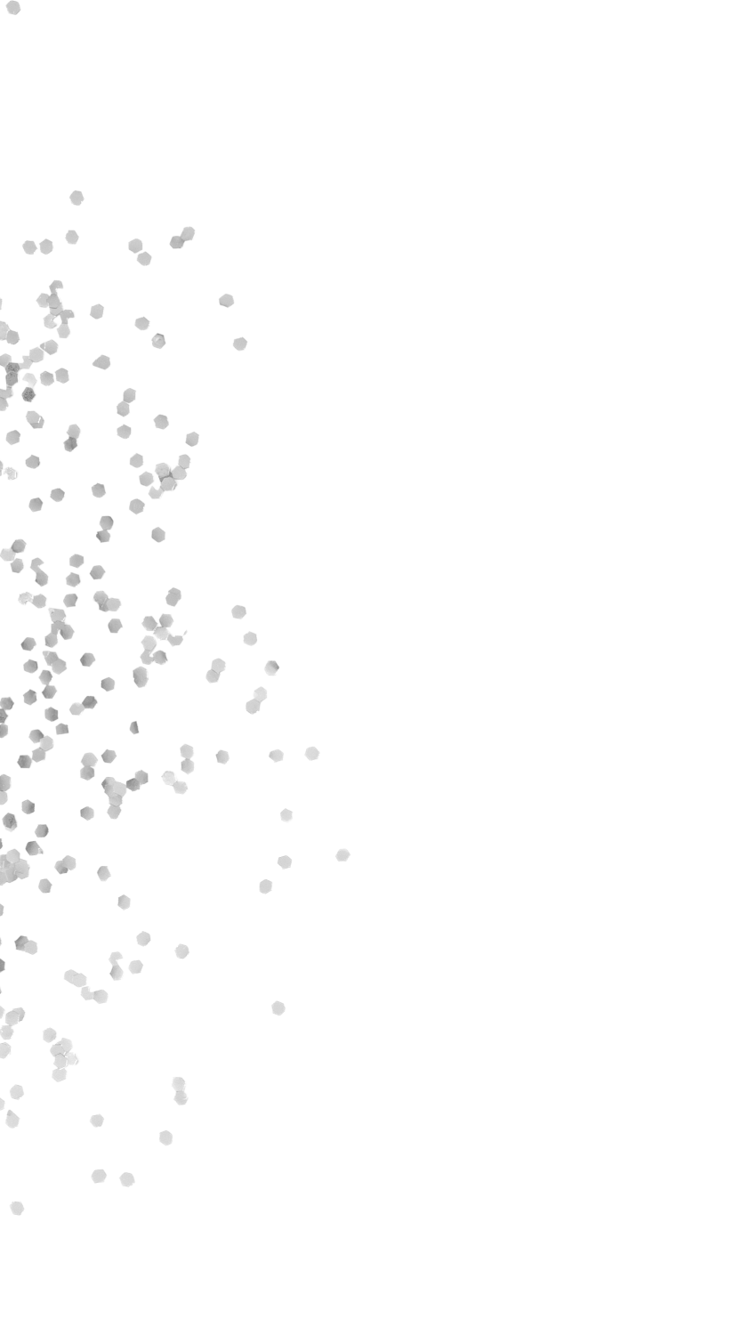 TOCCA MY NEW BAG with八木アリサ