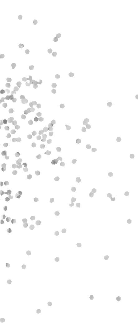 TOCCA MY NEW BAG with八木アリサ