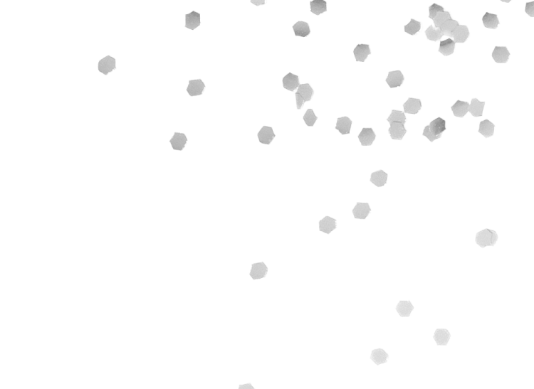 TOCCA MY NEW BAG with八木アリサ