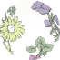 color