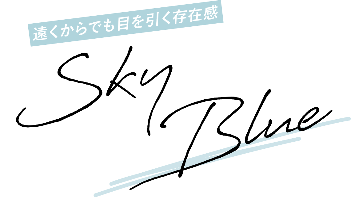 遠くからでも目を引く存在感 SKY BLUE