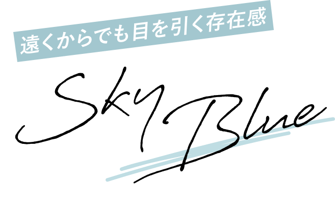 遠くからでも目を引く存在感 SKY BLUE
