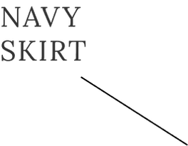 Navy skirt
