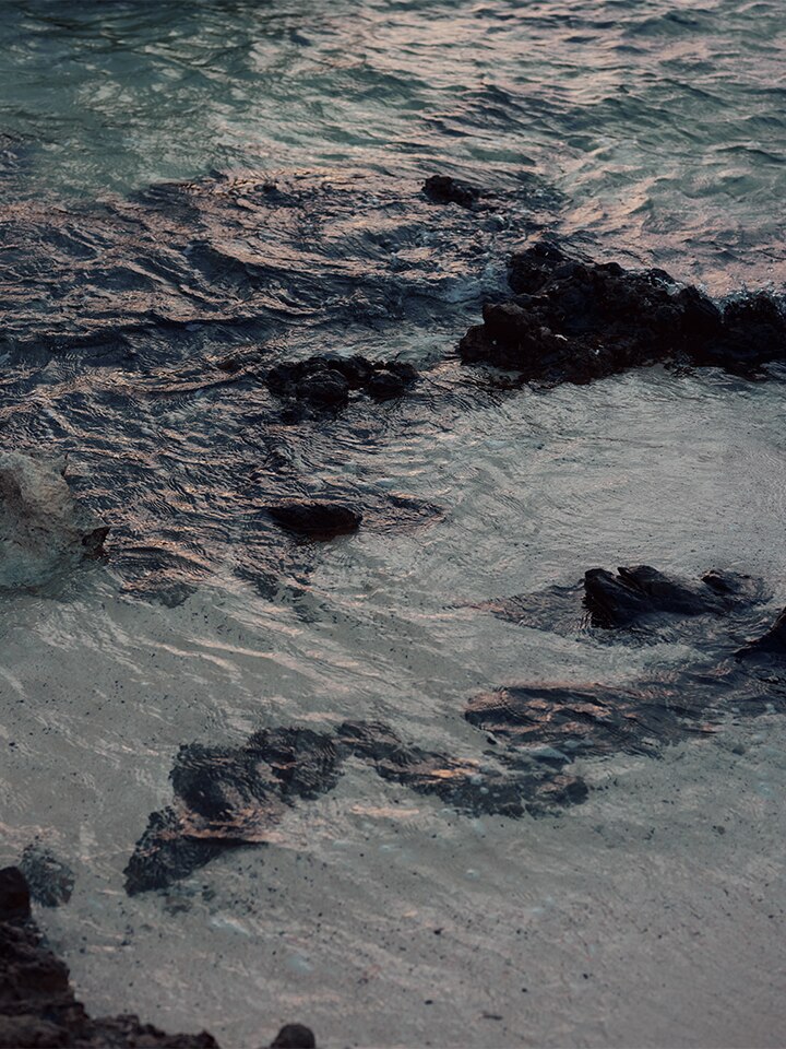 JOSEPH HIGH SUMMER 23 Look 11