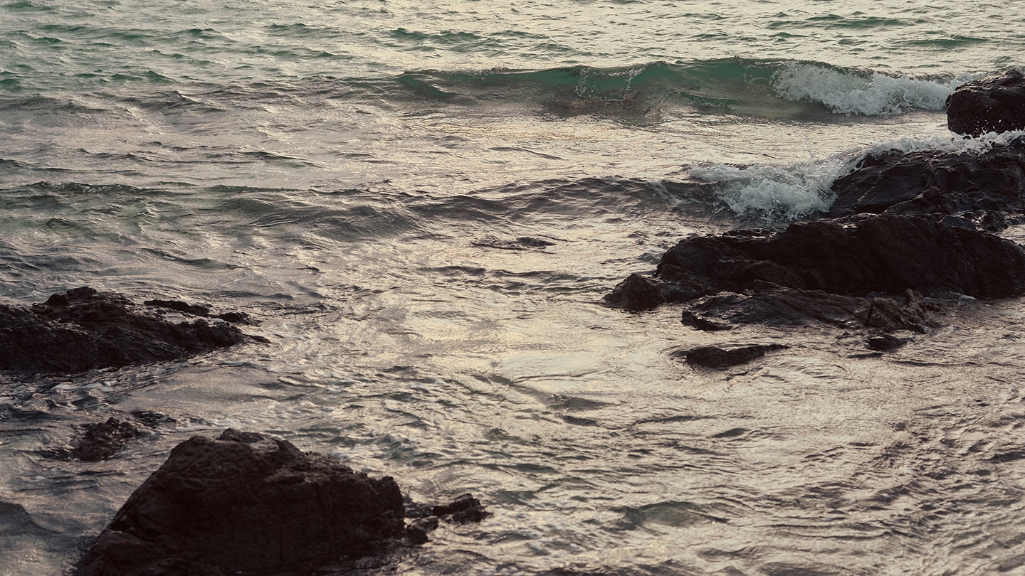 JOSEPH HIGH SUMMER 23