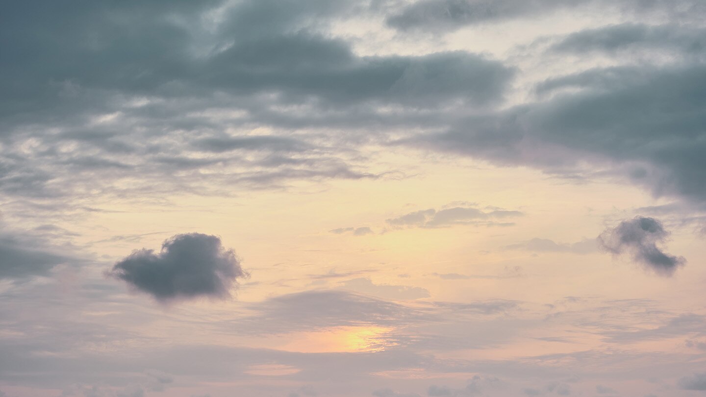 JOSEPH HIGH SUMMER 23