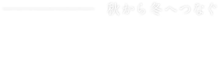 秋から冬へつなぐ 洗練 LIGHT OUTER
