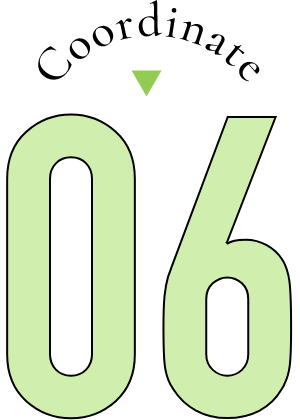 Coordinate06