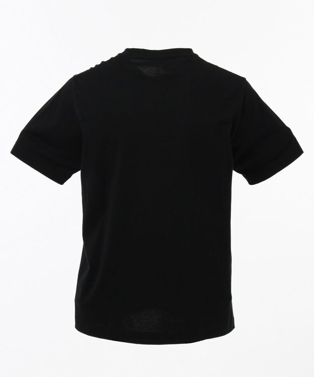 JOSEPH ABBOUD MOUNTAIN OGネイチャーPT カットソー ブラック系