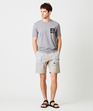 JOSEPH ABBOUD MOUNTAIN MTキューブロゴ カットソー(検索番号 K-4) ライトグレー系