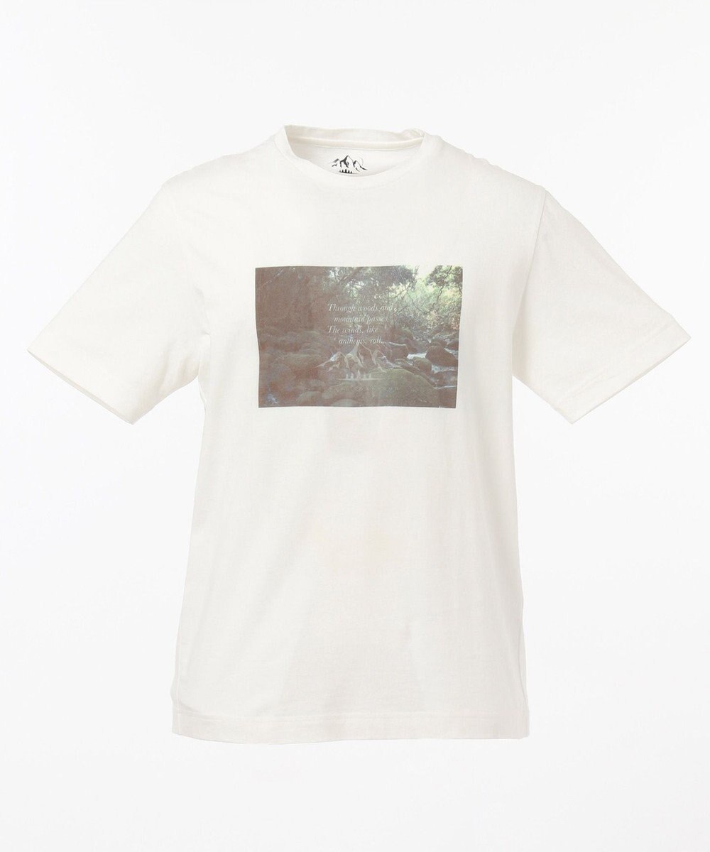 JOSEPH ABBOUD MOUNTAIN OGネイチャーPT カットソー(検索番号 K-6) 