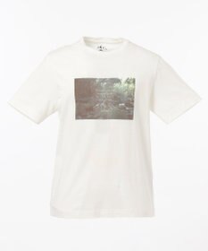 JOSEPH ABBOUD MOUNTAIN OGネイチャーPT カットソー(検索番号 K-6)