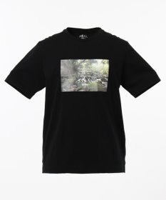 JOSEPH ABBOUD MOUNTAIN OGネイチャーPT カットソー(検索番号 K-6)