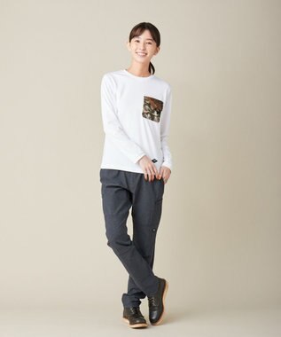 JOSEPH ABBOUD MOUNTAIN JOE COTTON天竺 カットソー ホワイト系