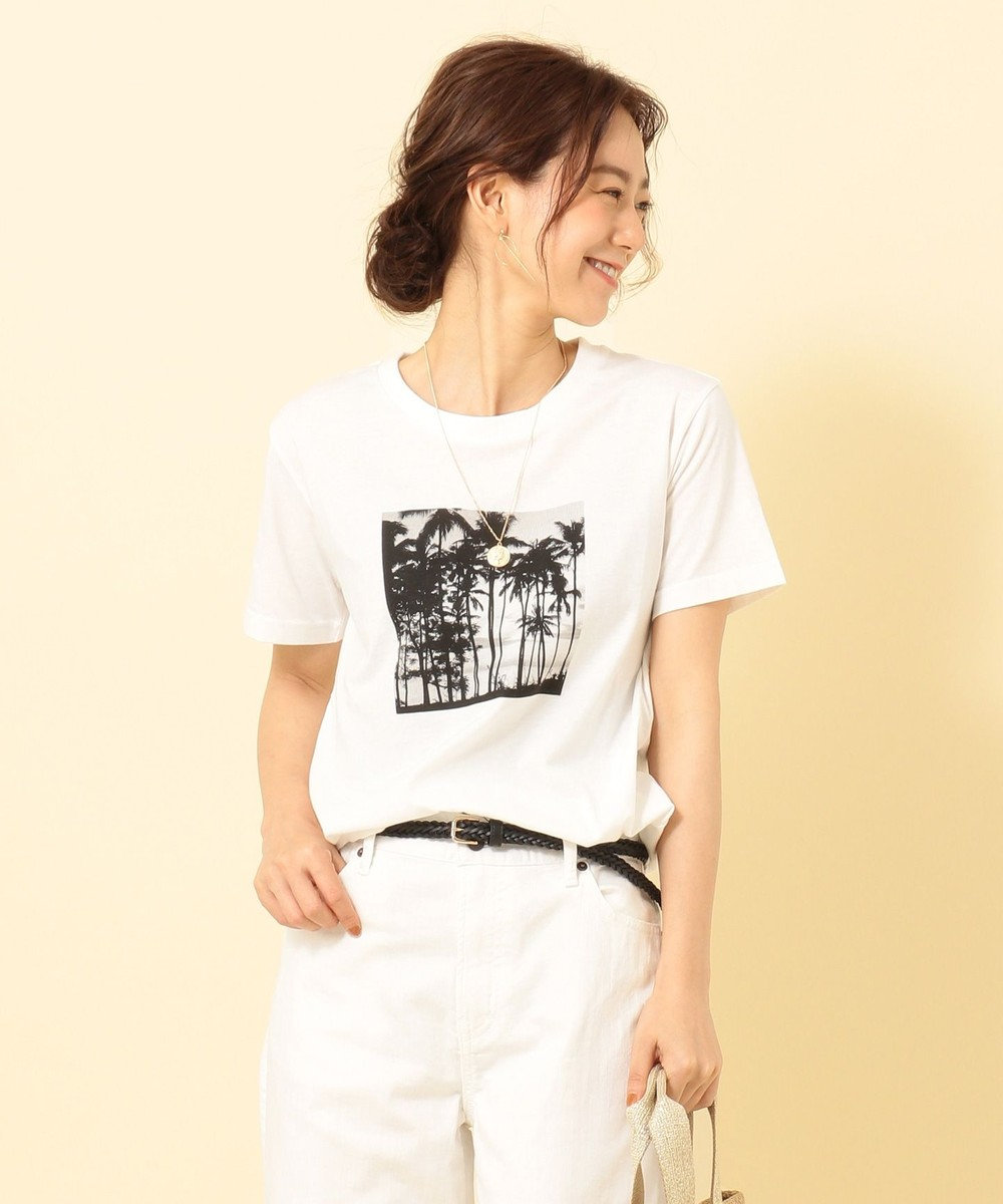 any FAM L 【汗ジミ軽減加工】ステインブロックフォトプリント Tシャツ ホワイト系
