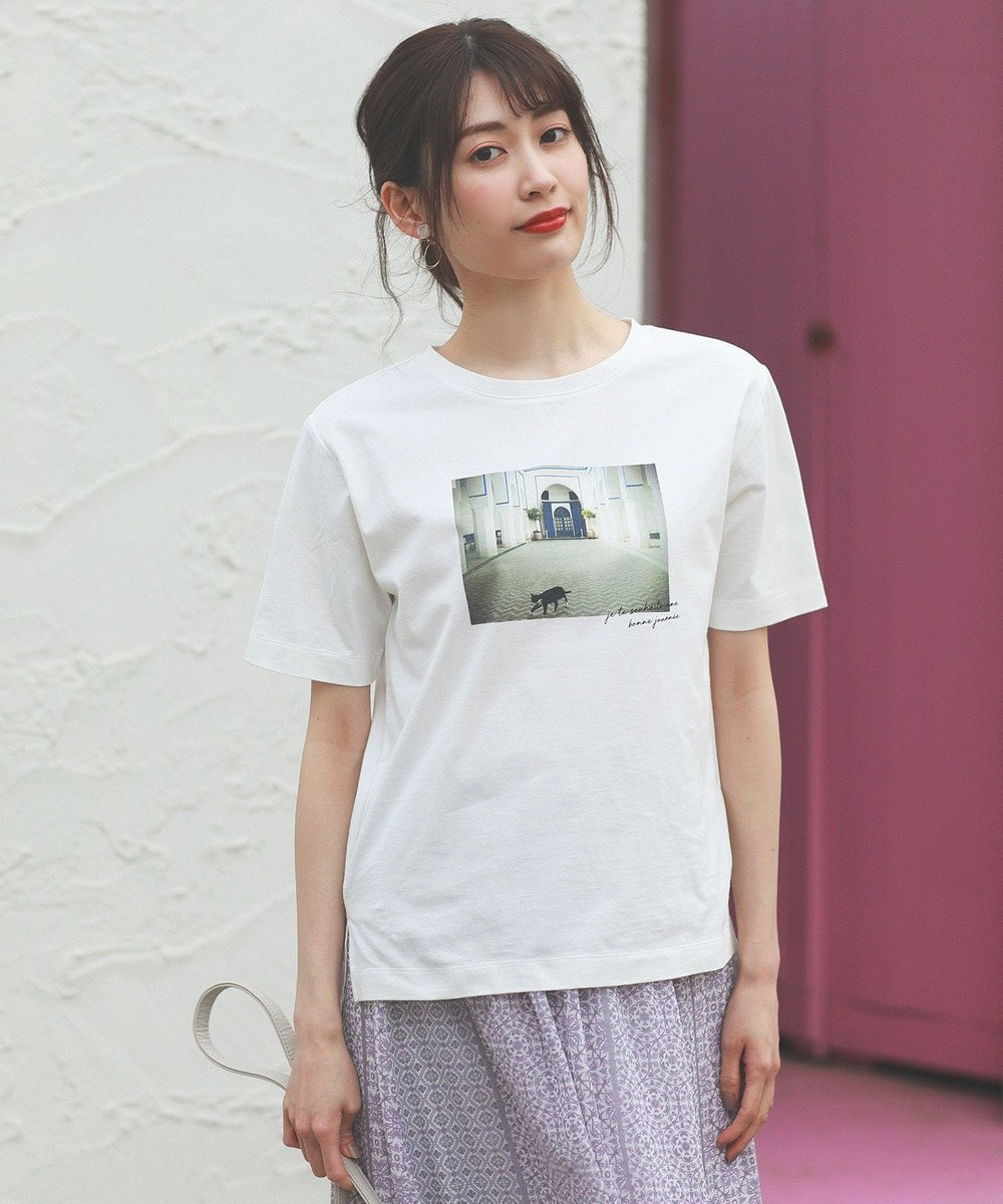 any SiS S モロッコフォトプリント Tシャツ オフホワイト(ねこ)