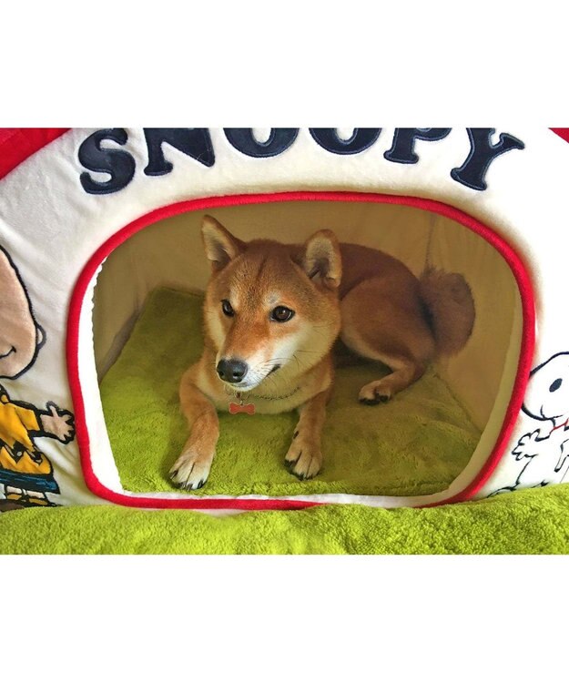 犬用品 ペットグッズ ハウス ベッド ペットパラダイス ペット ベッド スヌーピー お庭付き赤い屋根のハウス 大 猫 小型犬 介護 ふわふわ 通年 夏 秋 冬 クッション ソファ カドラー おしゃれ 室内 ドーム キャラクター Pet Paradiseファッション通販 公式通販 オン