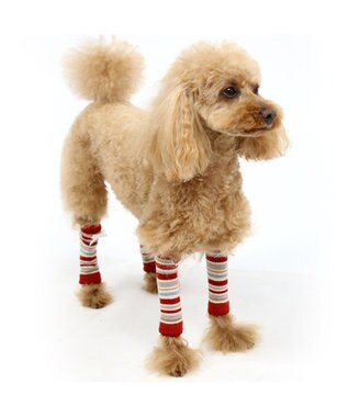 ペットパラダイス レッグウォーマー 赤 小型犬 Pet Paradise ファッション通販 公式通販 オンワード クローゼット
