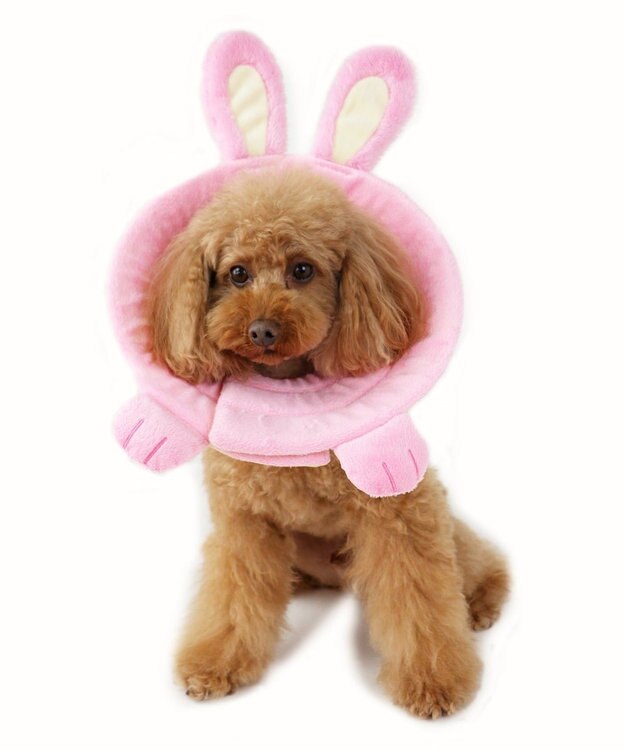 ペットパラダイス ペット用エリザベスカラー うさぎ 3s S Pet Paradiseファッション通販 公式通販 オンワード クローゼット