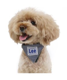 Lee バンダナ ロゴ 首輪 ペット3s Pet Paradise ファッション通販 公式通販 オンワード クローゼット Lee バンダナ ロゴ 首輪 ペット3s Pet Paradise ファッション通販 公式通販 オンワード クローゼット