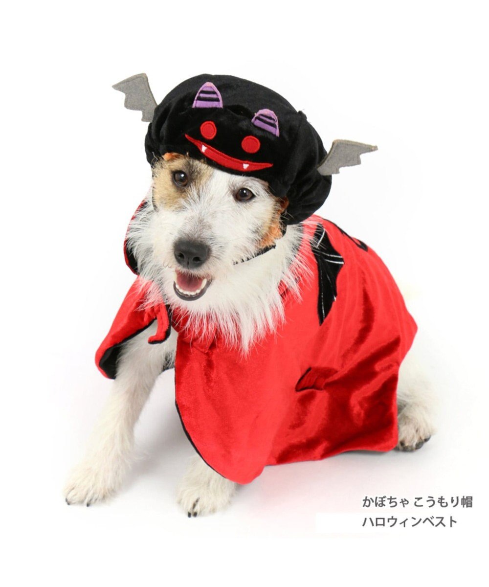 ペットパラダイス ハロウィン マント 小型犬 Pet Paradise ファッション通販 公式通販 オンワード クローゼット ペットパラダイス ハロウィン マント 小型犬 Pet Paradise ファッション通販 公式通販 オンワード クローゼット