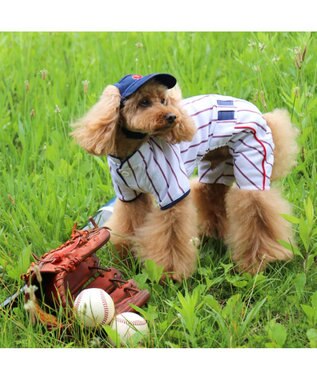 野球日本代表侍ジャパン ユニフォーム パンツつなぎ 小型犬 Pet Paradise ファッション通販 公式通販 オンワード クローゼット 野球日本代表侍ジャパン ユニフォーム パンツつなぎ 小型犬 Pet Paradise ファッション通販 公式通販 オンワード クローゼット