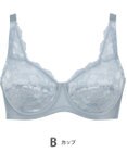 Wing フルカップブラ　肌あたりがやさしい　ウイング／ワコール　NB2703