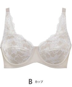 Wing フルカップブラ　肌あたりがやさしい　ウイング／ワコール　NB2703