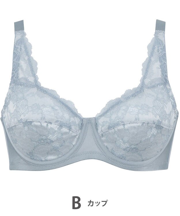 Wing フルカップブラ　肌あたりがやさしい　ウイング／ワコール　NB2703 グレイッシュブルー