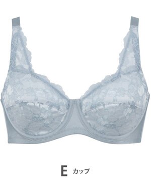  フルカップブラ　肌あたりがやさしい　ウイング／ワコール　NB2703