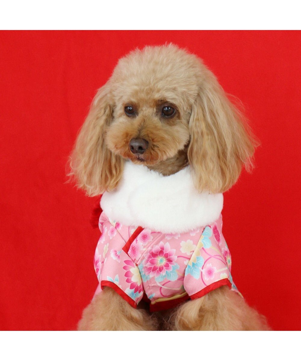 ペットパラダイス 着物 ピンク 小型犬 新年 年賀状 七五三 Pet Paradise ファッション通販 公式通販 オンワード クローゼット