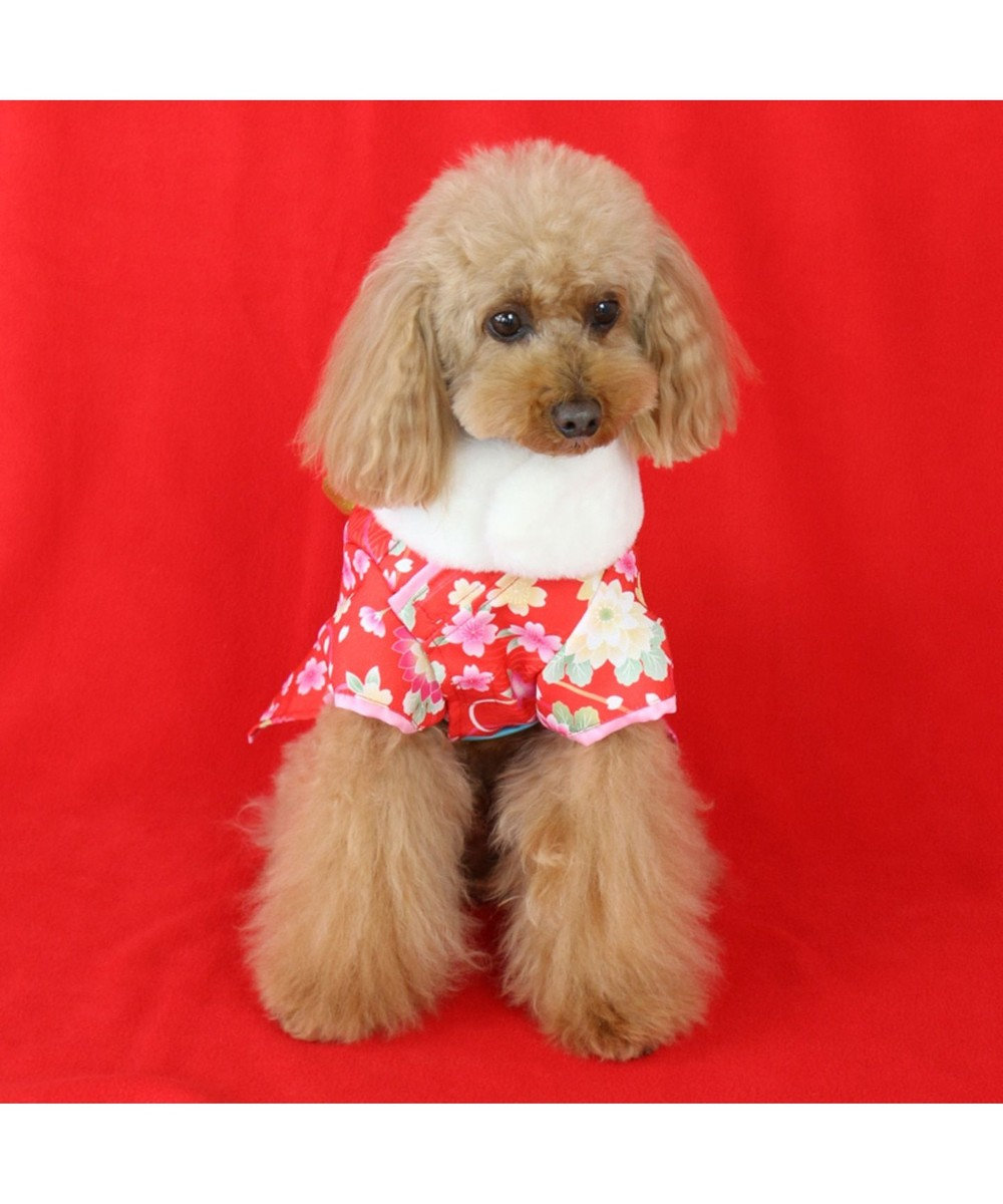 ペットパラダイス 着物 赤 中 大型犬 お正月 新年 子年 年賀状 Pet Paradiseファッション通販 公式通販 オンワード クローゼット