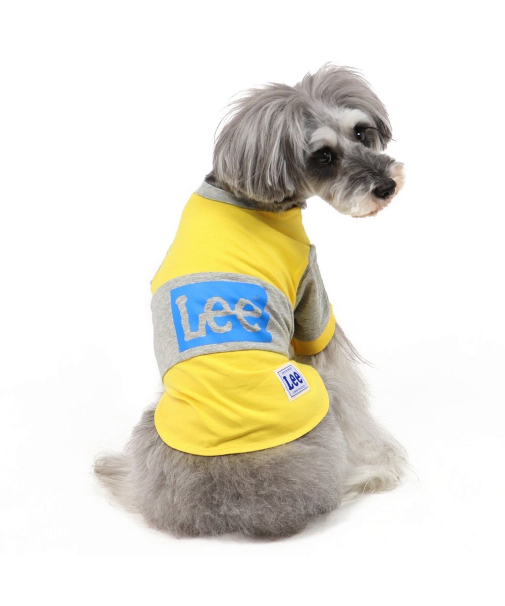 Lee ボックス ロゴ Tシャツ 黄色 小型犬 Pet Paradise ファッション通販 公式通販 オンワード クローゼット Lee ボックス ロゴ Tシャツ 黄色 小型犬 Pet Paradise ファッション通販 公式通販 オンワード クローゼット