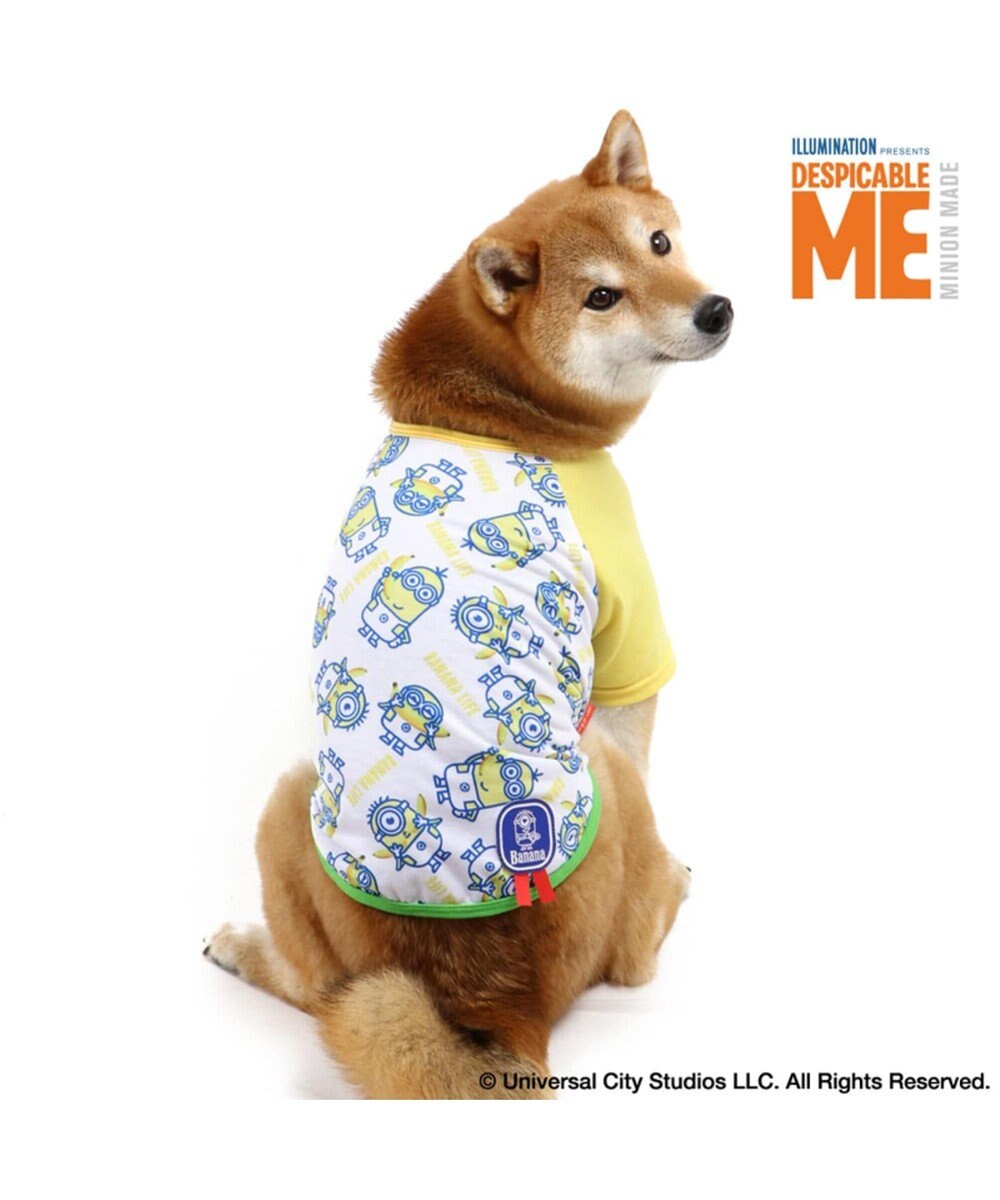 ミニオン バナナ Tシャツ 中型犬 Minion Pet Paradise ファッション通販 公式通販 オンワード クローゼット ミニオン バナナ Tシャツ 中型犬 Minion Pet Paradise ファッション通販 公式通販 オンワード クローゼット