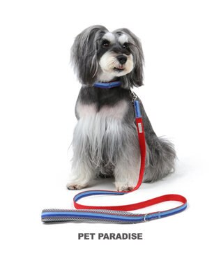ペットパラダイス 切替首輪 リード 青 小型犬 ペット4s 3s Ss S 犬具 Pet Paradise ファッション通販 公式通販 オンワード クローゼット