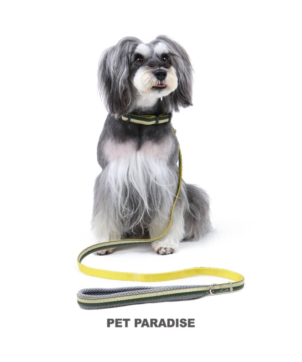 PET PARADISE ペットパラダイス 切替首輪＆リード 緑 〔小型犬〕ペット4S/3S/SS/S 犬具 黄緑