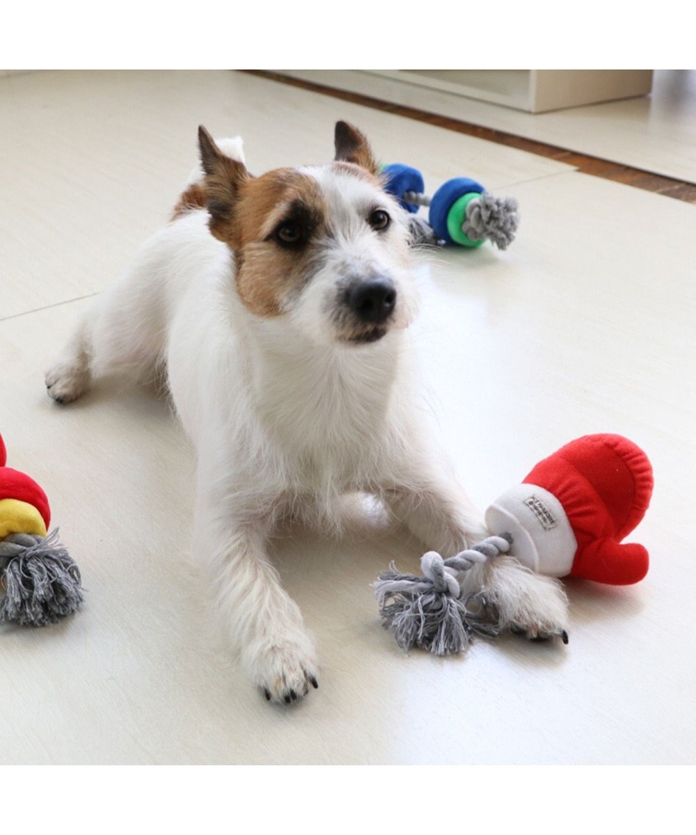 ペットパラダイス ボクシング 青 犬用おもちゃ おもちゃ トイ Pet Paradiseファッション通販 公式通販 オンワード クローゼット