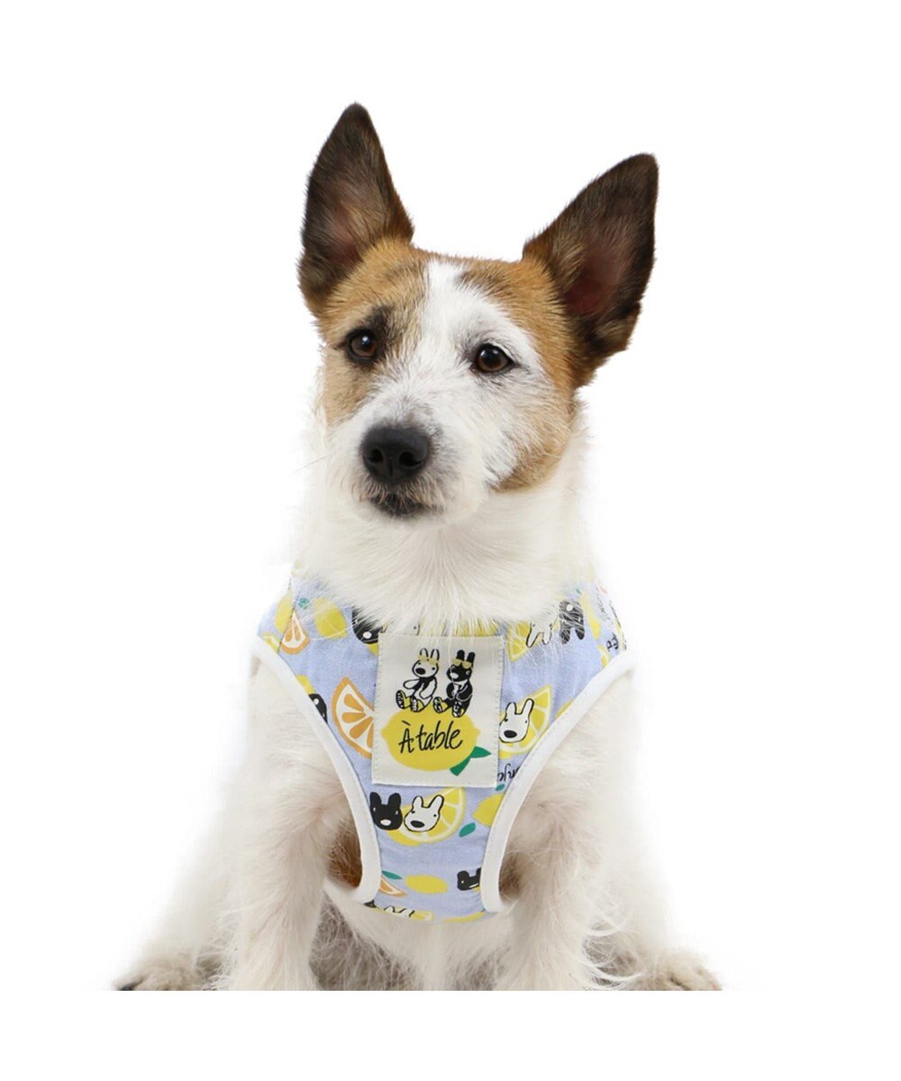 リサとガスパール シトラス ベスト ハーネス 3s 小型犬 Pet Paradiseファッション通販 公式通販 オンワード クローゼット