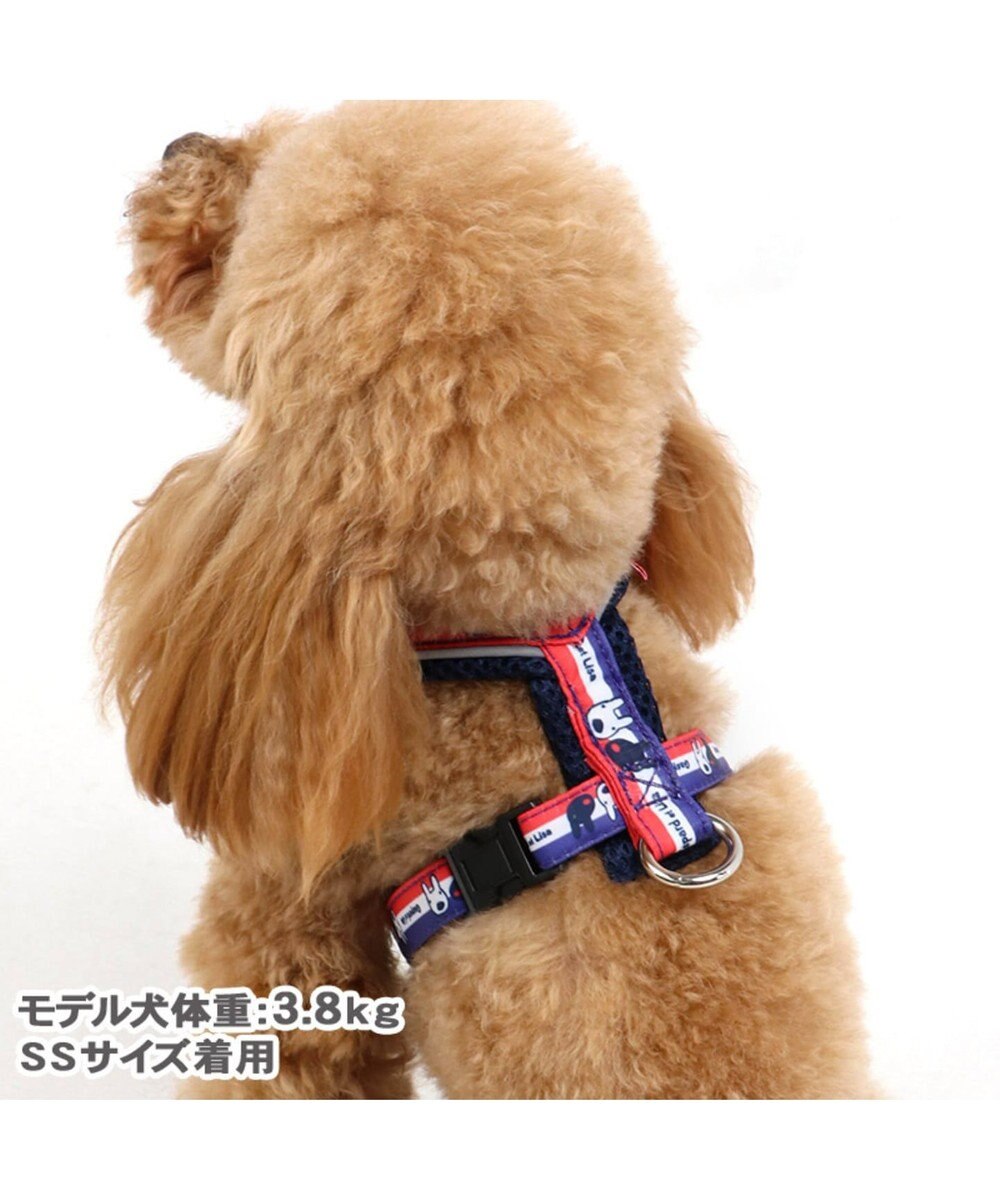 市場 犬 小型犬 ハーネス 市場 犬 小型犬 ハーネス