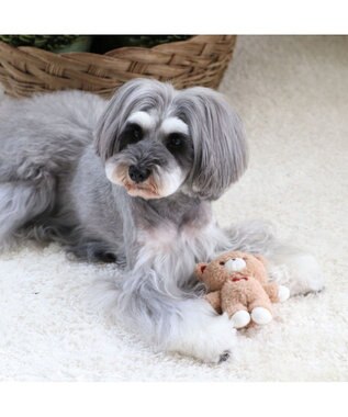 ペットパラダイス 犬用おもちゃ 動物おもちゃ くま うさぎ ペット トイ Pet Paradise ファッション通販 公式通販 オンワード クローゼット