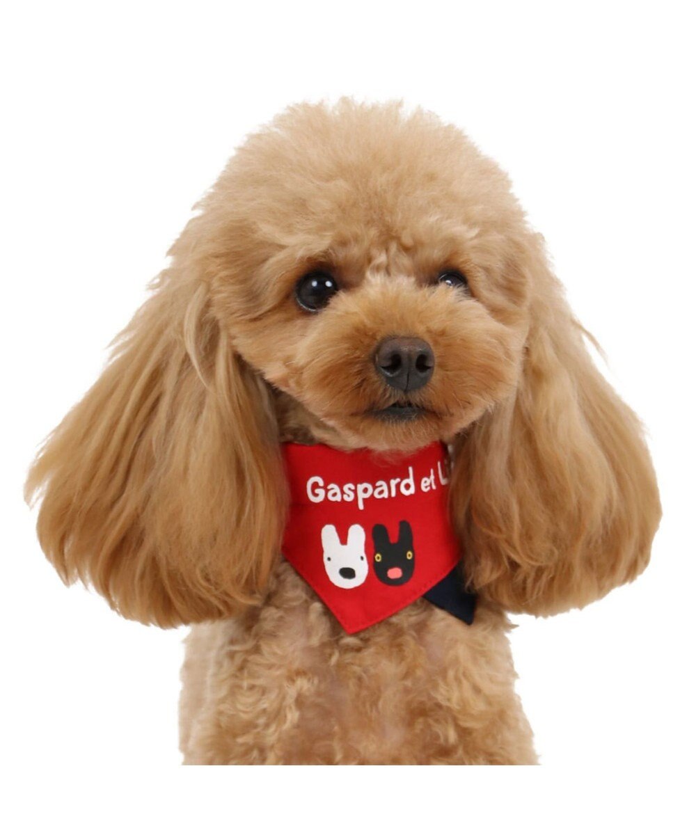 リサとガスパール ロゴ柄 バンダナ付き 首輪 S 小型犬 Pet Paradise ファッション通販 公式通販 オンワード クローゼット