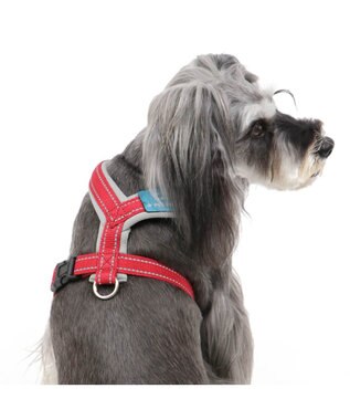 ペットパラダイス アクティブハーネス 赤 ペットss 小型犬 Pet Paradise ファッション通販 公式通販 オンワード クローゼット