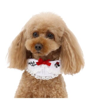 犬用品 ペットグッズ お散歩 ペットパラダイス 犬 首輪 ディズニー ミニーマウス ｓ 襟付 水玉柄 小型犬 おさんぽ おでかけ お出掛け おしゃれ オシャレ かわいい キャラクター Pet Paradise ファッション通販 公式通販 オンワード クローゼット