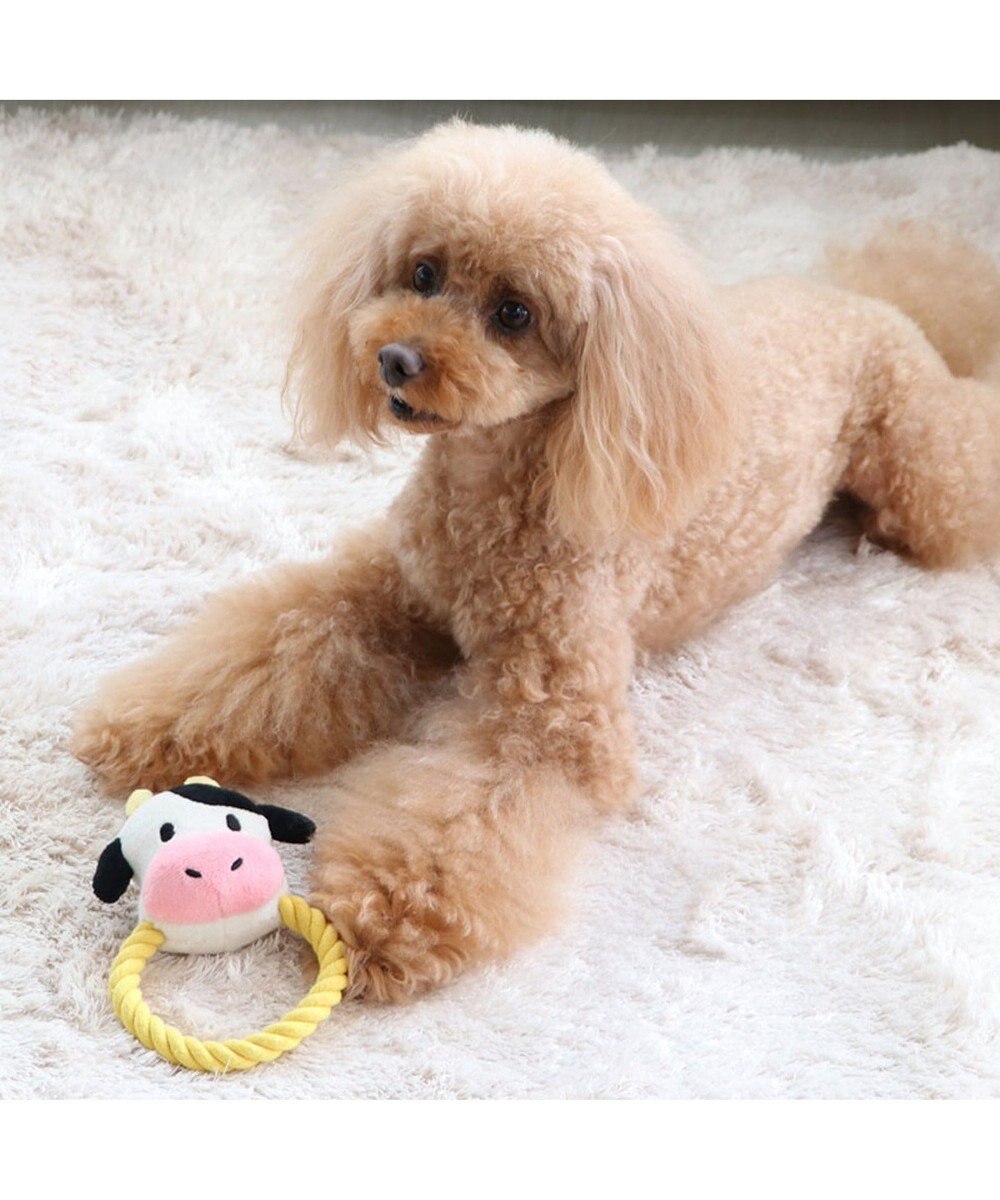 ペットパラダイス 牛ロープ おもちゃ 干支 ペット トイ Pet Paradise ファッション通販 公式通販 オンワード クローゼット